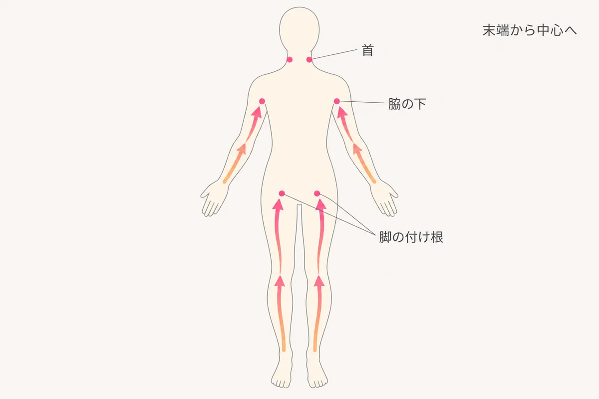 リンパ節が集まる首・脇の下・脚の付け根と、体の末端から中心へ向かう流れを示した図
