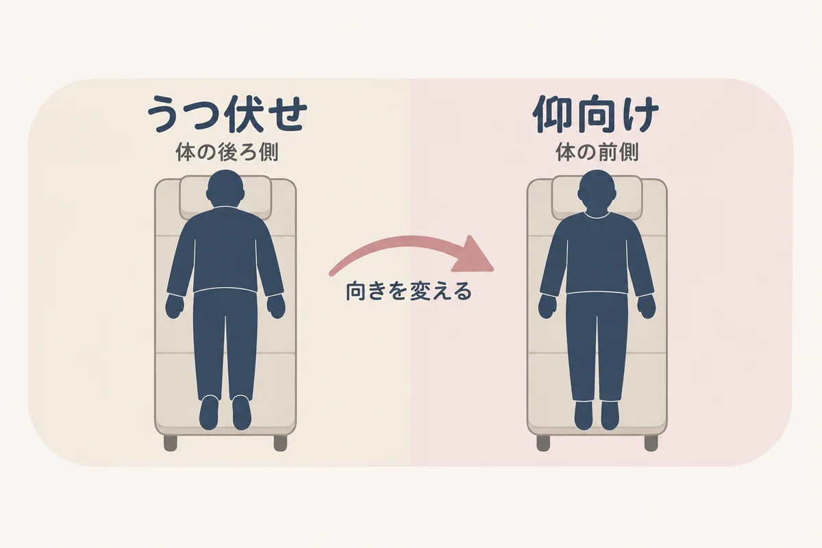 はじめにうつ伏せで体の後ろ側を施術し、途中で仰向けに向きを変えて体の前側を施術する、というコースの流れを示した図